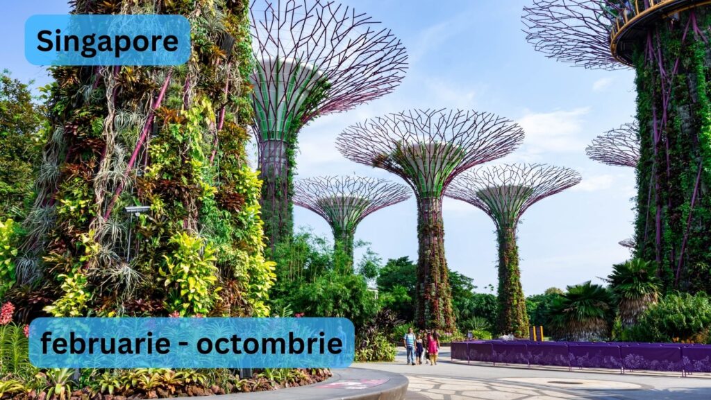 the iconic exotic trees of Singapore