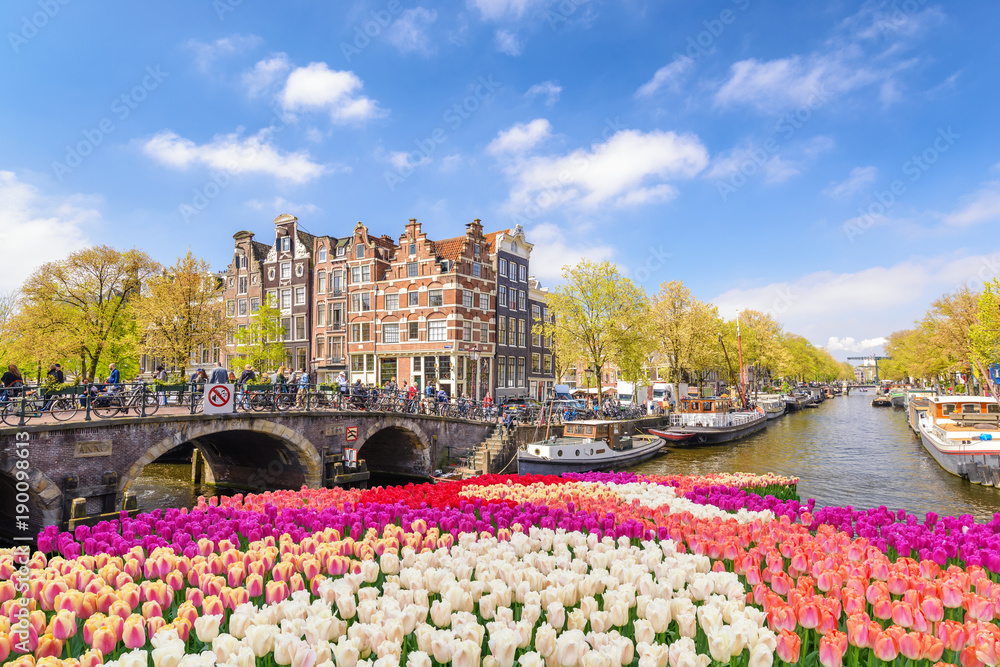 Orașul de vis Amsterdam în primăvară cu flori lalele colorate și o priveliște citadină a canalului cu bărci.