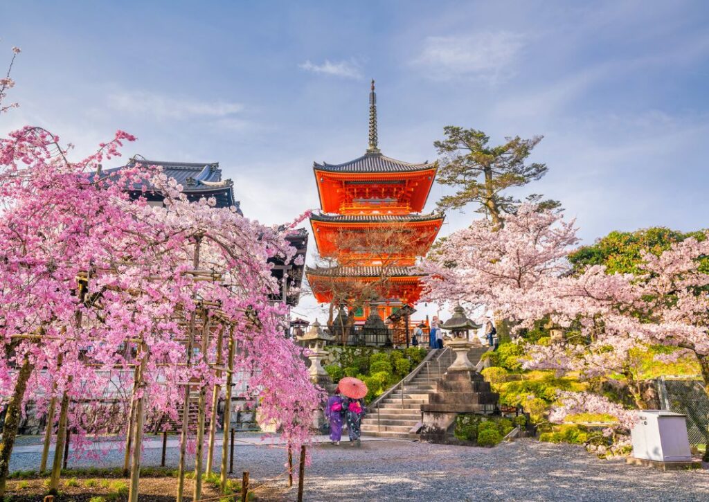 Pomi de cireș înfloriți în destinația japoneză Kyoto, cu un templu și două geyshe.