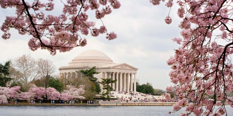 Festivalul Florilor de Cireș de vis în Washington D.C.,SUA, în primăvară.